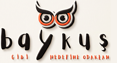 Baykuş Logo